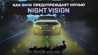 Как BMW предупреждает о людях и животных на дороге ночью - система Night Vision