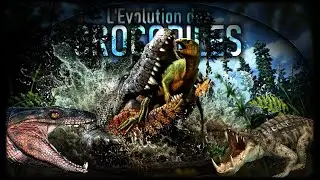 Les Crocodiles, des cousins insoup&ccedil;onn&eacute;s des Oiseaux