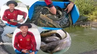 Nuôi cá chạch lấu theo hướng sạch ở miền Tây, chàng trai lãi bộn tiền - Dân miền Tây