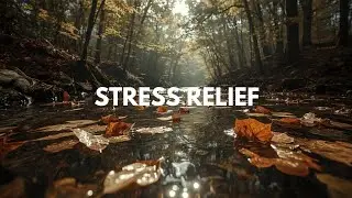 Deep Relaxation Music for Stress Relief 🍂 Peaceful Autumn Forest & River Ambience | Aetherflow Music