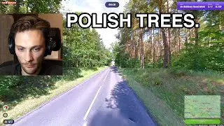 these trees are polish