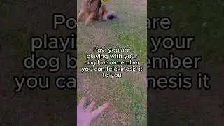 Pov: #fairytok #fairy #fairycore #flying #aesthetic #fairies #fairyhunter #cuteanimals #dogs #cute