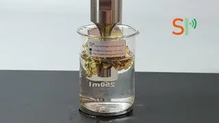 High Efficient Extraction Method For Plants