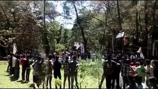 SFI CMS College Beef festival reality, proof of Principal kicking away the beef plate