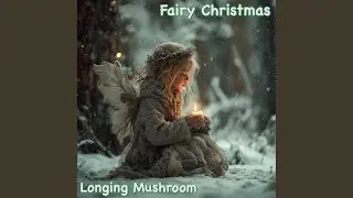Fairy Christmas