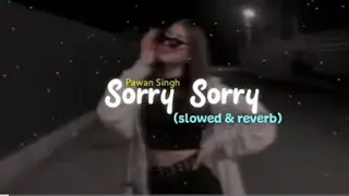 Pawan Singh - Sorry Sorry (slowed & reverb)😇🥰😍❤️❤️ #lofi #bhojpuri #gaming #bhojpurisong #view #100m