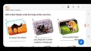 Class 3 - GK - Chapter 3 - Amazing Animals