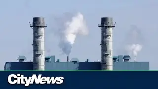 Five municipalities reject fossil-burning gas plants, say yes to clean energy