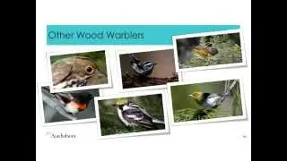 Bird Conservation in the Face of Climate Change