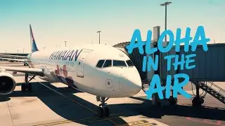Aloha in the air | Lilo & Stitch livery