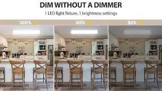 AntLux 4FT Dimmable LED Light Fixture - 3 Levels of Brightness Adjustment