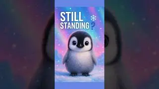 Mini Penguin Wisdom: It&rsquo;s Okay to Fall 🐧💬✨ #Shorts #MiniPenguin @rivviworld