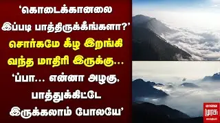 Never seen beauty of Kodaikanal | TN Tourism
