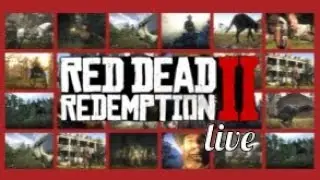 Red Dead Redemption 2  LIVE   #gameplay #reddeadredemption2