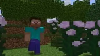 Sphere in minecraft?! - Minecraft animation - Dr. Nexil
