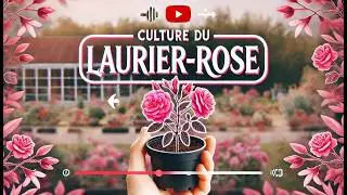🌸Выращивание олеандра: посадка, обрезка и уход – Полное руководство 🌸🌿
