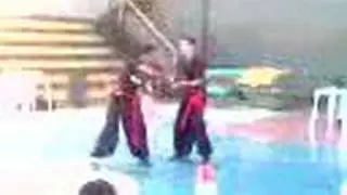 Campeonato Alagoano de Kung-Fu /I&ecirc;do x Mayr/ Kung-Fu Dakar&uacute;