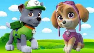 Найди правильную тень. Для детей.