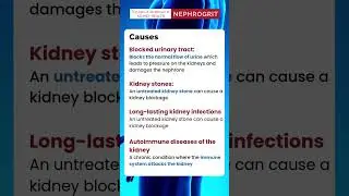 nephrogrit