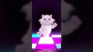 Cat shuffle dance #dance #cat #animation #3d #cartoon #shuffle