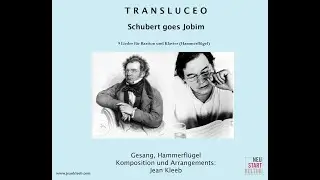 Transluceo 