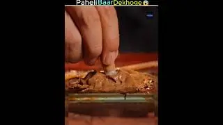 Dog Hair Turned Into a Crazy Cool Product!😱//#facts #hindi #shorts