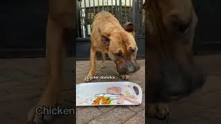 Sasha eats her breakfast in under 1 minute 😱