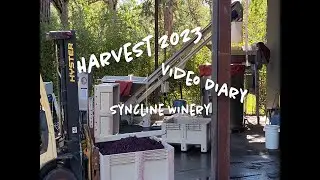Can Wine Save the Planet Harvest 2023 Diary  Syncline Winery