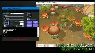 Evolution FlyFF Bot
