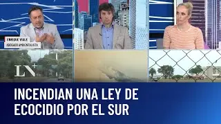 Impulsan una ley de ecocidio por los incendios en el sur; exige penas duras para quienes los inician