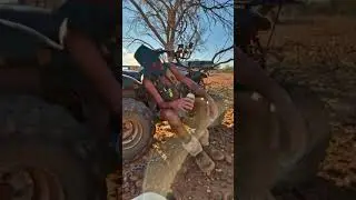Aussie Gold WA the Original Naked   Prospector remix2 #gold #prospecting #camping #hunting #aussie