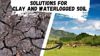 Solutions for Clay and Waterlogged soil