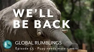 GlobalRumblings Podcast Video Edition - Episode 53,  We will be back