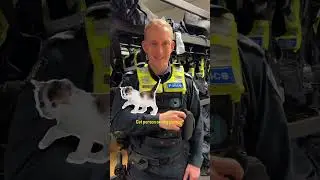 20ish questions with Senior Constable Walton