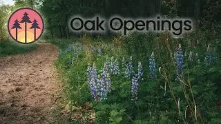 Exploring The Oak Openings Region - A Cinematic Short Film