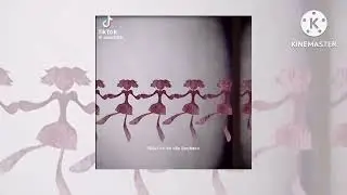 𓂃𓈒☁️ sped up / slowed  down audios that take me to heaven ꒰ঌ ໒꒱