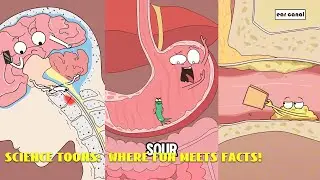 Mind-Blowing (and Funny!) Science Cartoons#animation #funny #video 