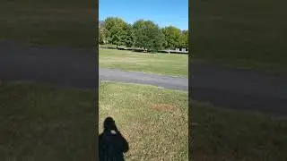 Losi lst xxl 2 1717 mamba xl on 5s