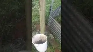 Rat proof fencing