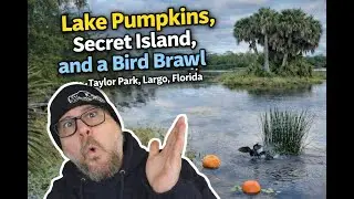 Wild Florida: Lake Pumpkins, Secret Island, and Fighting Birds!