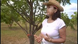 Gary the Explorer - Abaco Neem - Part 1