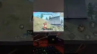 Live highlight