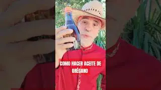 Como hacer aceite de or&eacute;gano