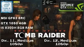 Shadow of The Tomb Raider DX 11 vs DX 12 | GTX 1050 + i5 8300h | MSI GF63 | Nvidia driver 219.35