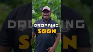 Silencer Band Back with Virua Na Malira #musicdrop #newvideo #trending