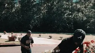 Organic Shark Tales (Unofficial Music Video)