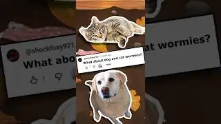 Adding DOG and CAT wormies to our cozy worm game! #gameart #gamedev #cozygames #indiegames