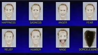MWF_941: Emotion Identification Tool (E)