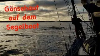 Segeln Kap Langanes 🇮🇸 - oder Gänsehaut auf dem Segelboot...#36 @XTripSailing
