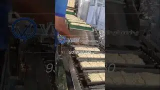 Instant, Maggi, Noodles Making Plant 300 kg/h Production.